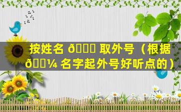 按姓名 🐟 取外号（根据 🐼 名字起外号好听点的）